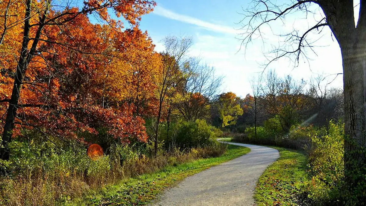 Fall Color Walks at Volo Bog State Natural Area